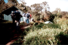 Mitten im Regenwald - das Mandara Lager